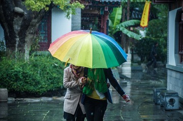 20121104_1045_135 mm.jpg