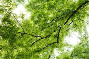 IMG_8404-2中