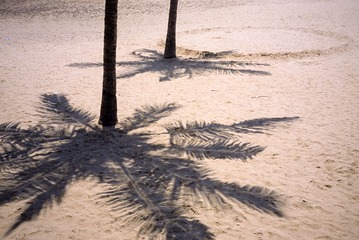 IMG-5000-103088-135