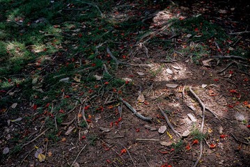 IMG-5000-103093-135