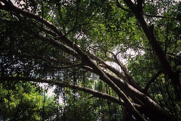 IMG-5000-103094-135