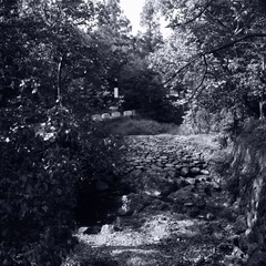 R0010869.JPG