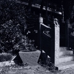 R0010874.JPG