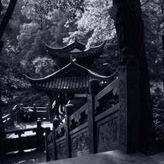 R0010876.JPG