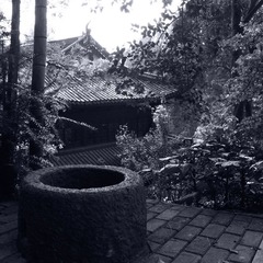 R0010878.JPG