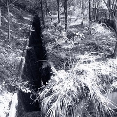 R0010883.JPG