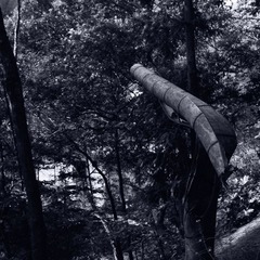 R0010886.JPG