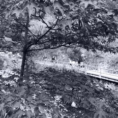 R0010894.JPG