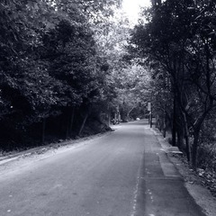 R0010896.JPG