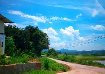 L1006209