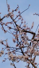 9A162E40-8236-472E-B2F5-85711C851007/L0/001