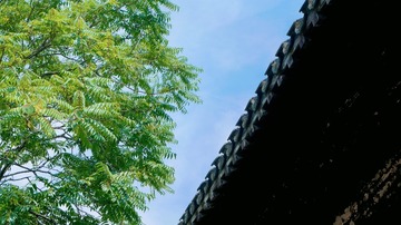 B484D684-52B3-4FC8-BD9A-B004A57D66BD/L0/001