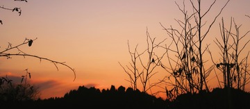 Optional("A64527F5-2043-4863-9C00-AFB26E6CFEF0/L0/001")