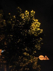 2011-08-28 23.40.06.jpg