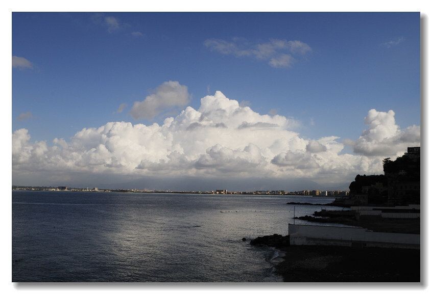 _CYN2559<br />
