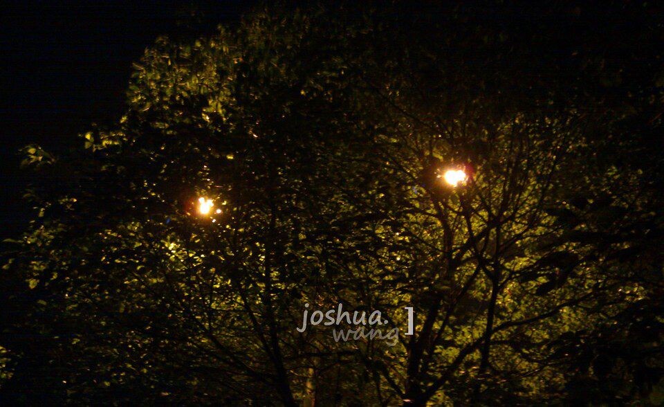 怪异的眼神<br />
夜晚的校园 寻觅着不一样的生活姿态.