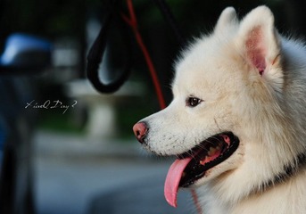 DSC_5524.jpg
