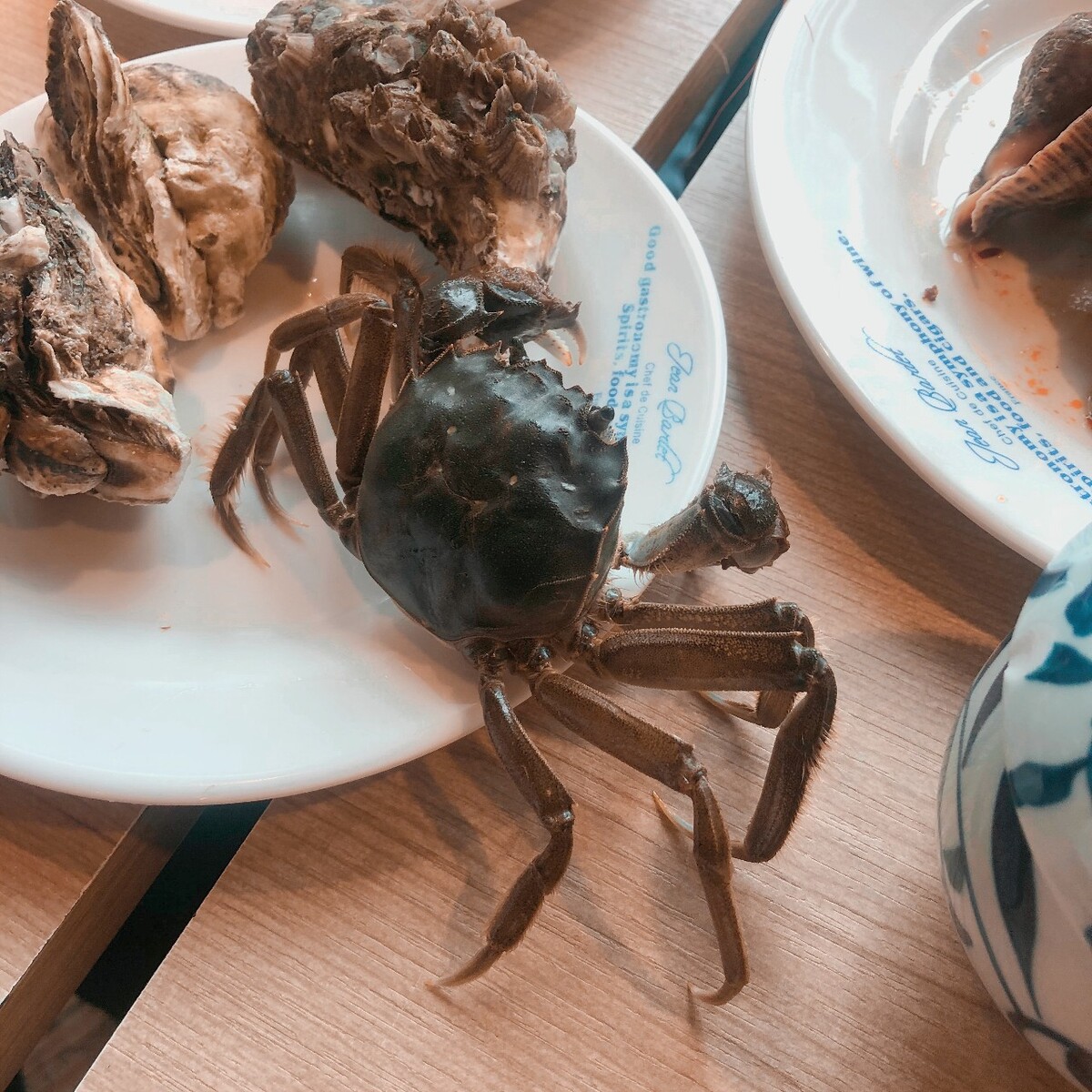 螃蟹禁忌一文读懂!吃完螃蟹不能吃什么