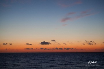IMG_0636.jpg