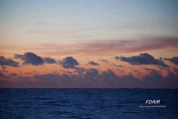 IMG_0648.jpg