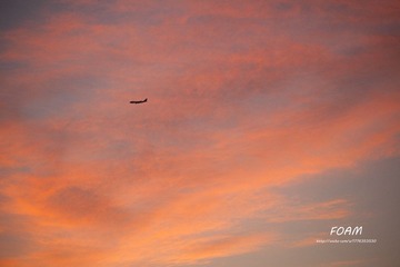 IMG_0710.jpg