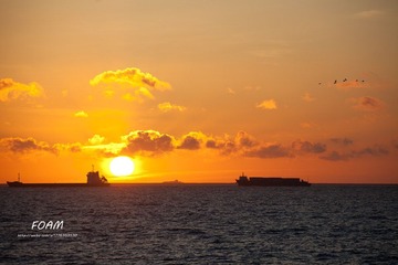 IMG_0787.jpg