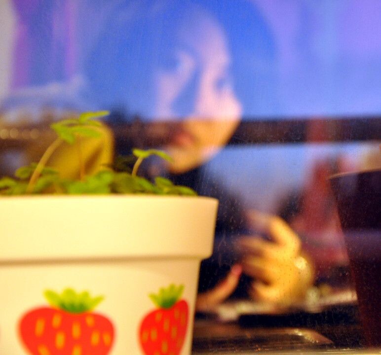 自拍，窗户反光<br />
仔细看才发现对焦时是对在了擦玻璃留下的水印子上，不过这样挺好，可以看见窗外的树影，阳台的栏杆，屋里的草莓盆栽，还有我自己