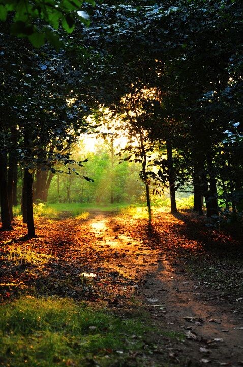Fairyland<br />
This is what I called“Fairyland”！