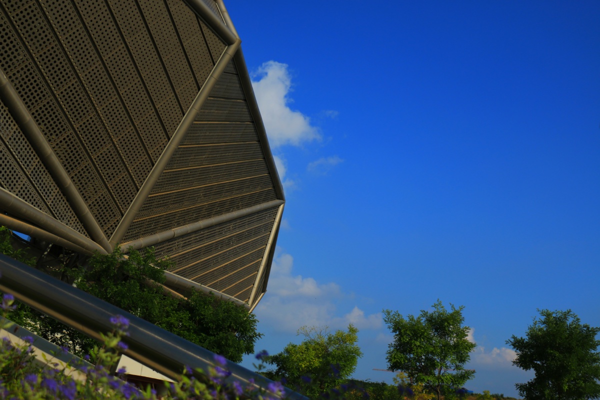 普兰店体育场约等于废弃现状