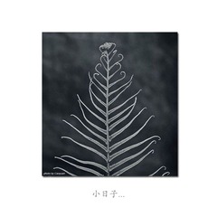 小日子（与寂寞有染）