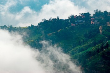 _DSC0542