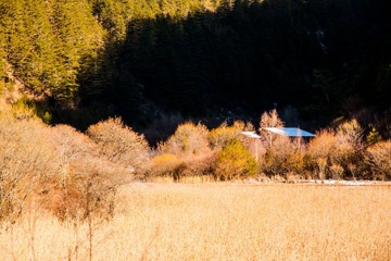 DSC00876-1