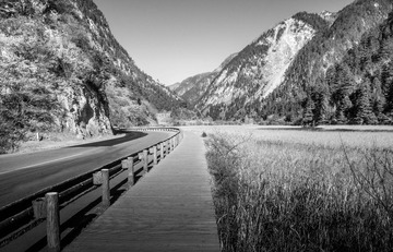 DSC00870-1