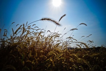 20120915-DSC00609.jpg