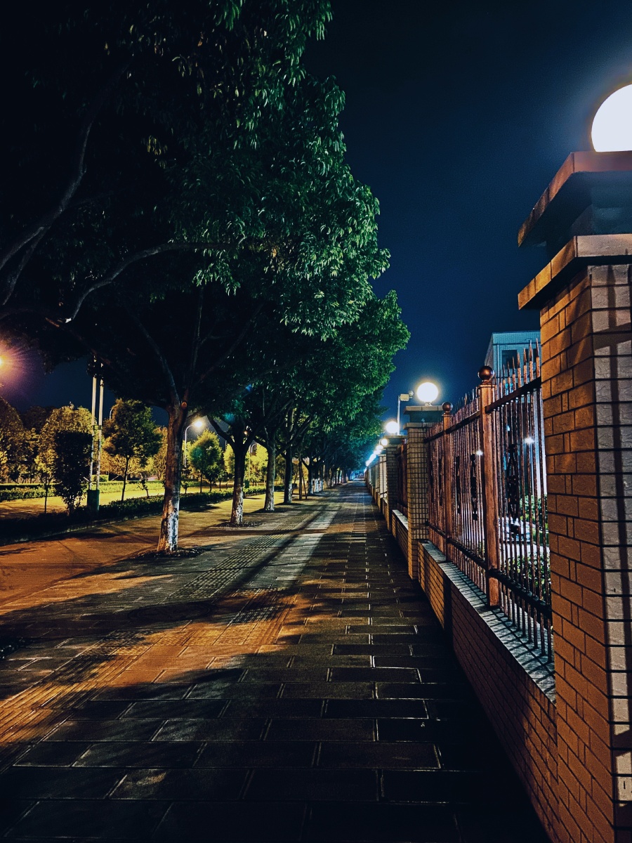 宫崎骏老师说:最美丽的街道就是有一点微光的路.