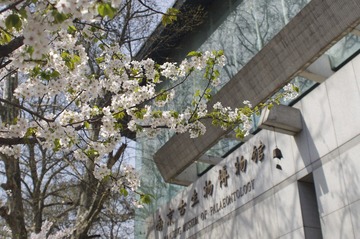 _IGP2889.JPG