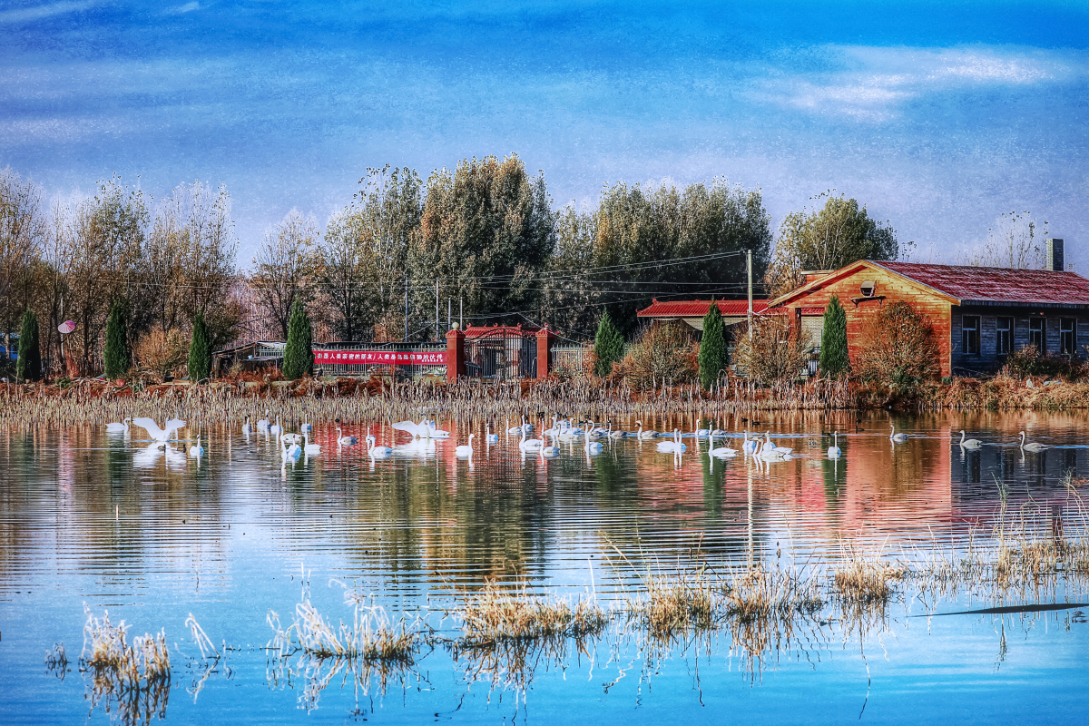 生态家园一拍摄于山西侯马汾河坝上 - 纯纯873 - 图虫