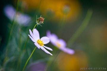20110917-171641.jpg