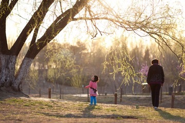 20120408-180631.jpg