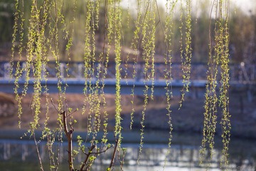 20120408-175517.jpg