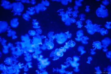 20120616-123212.jpg