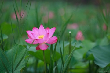 20120708-114906.jpg
