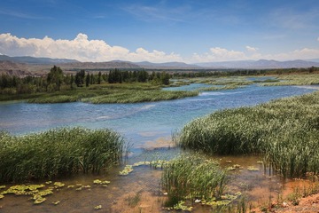 20120729-140631.jpg