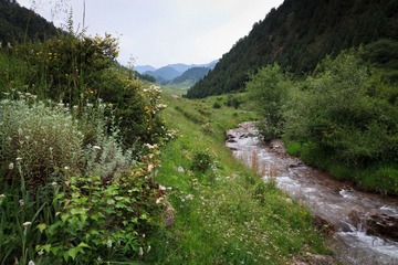 20120728-171548.jpg