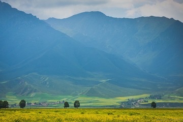 20120728-125802.jpg