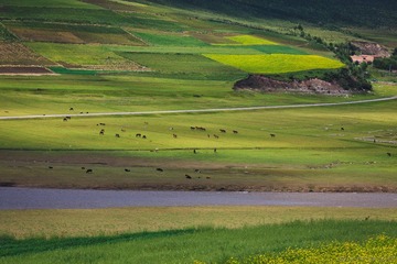 20120728-105733.jpg