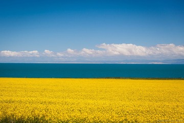 20120727-121409.jpg