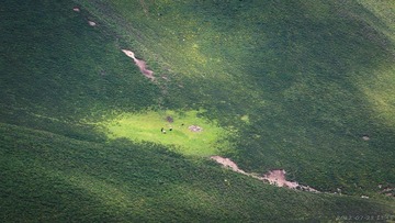20120728-114813.jpg