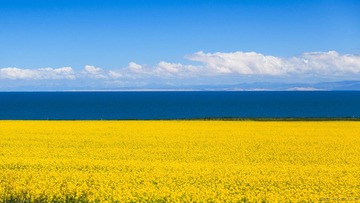 20120727-121409-编辑.jpg