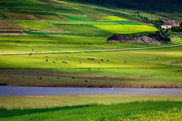 20120728-105733-编辑.jpg